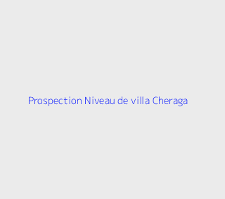 Prospection Niveau de villa F3 Alger